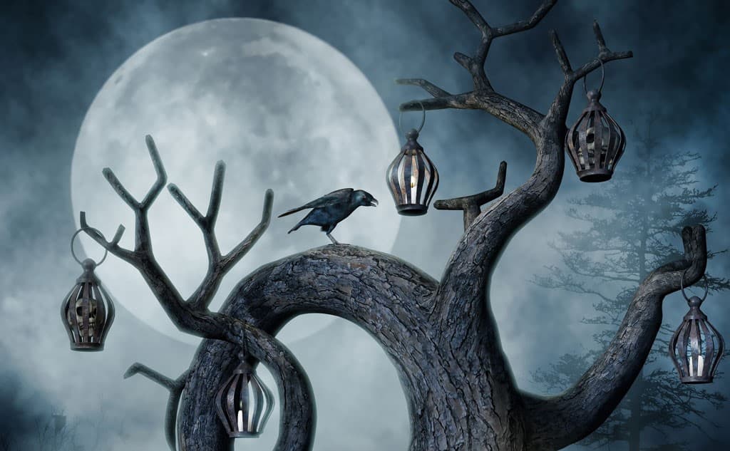 As a Crow Flies