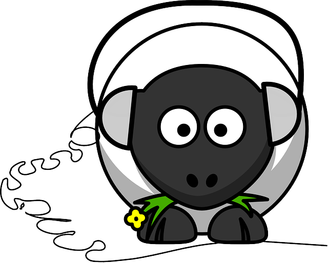 sheep-158247_640